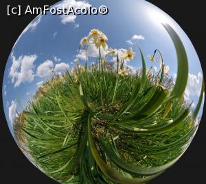 [P14] Soare, cer, nori, flori... » foto by tata123 🔱
 - 
<span class="allrVoted glyphicon glyphicon-heart hidden" id="av1295231"></span>
<a class="m-l-10 hidden" id="sv1295231" onclick="voting_Foto_DelVot(,1295231,27450)" role="button">șterge vot <span class="glyphicon glyphicon-remove"></span></a>
<a id="v91295231" class=" c-red"  onclick="voting_Foto_SetVot(1295231)" role="button"><span class="glyphicon glyphicon-heart-empty"></span> <b>LIKE</b> = Votează poza</a> <img class="hidden"  id="f1295231W9" src="/imagini/loader.gif" border="0" /><span class="AjErrMes hidden" id="e1295231ErM"></span>