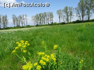 [P16] Poiana cu Narcise - Negrași. » foto by tata123 🔱
 - 
<span class="allrVoted glyphicon glyphicon-heart hidden" id="av1295233"></span>
<a class="m-l-10 hidden" id="sv1295233" onclick="voting_Foto_DelVot(,1295233,27450)" role="button">șterge vot <span class="glyphicon glyphicon-remove"></span></a>
<a id="v91295233" class=" c-red"  onclick="voting_Foto_SetVot(1295233)" role="button"><span class="glyphicon glyphicon-heart-empty"></span> <b>LIKE</b> = Votează poza</a> <img class="hidden"  id="f1295233W9" src="/imagini/loader.gif" border="0" /><span class="AjErrMes hidden" id="e1295233ErM"></span>