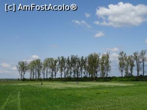 [P17] Poiana cu Narcise - Negrași. » foto by tata123 🔱
 - 
<span class="allrVoted glyphicon glyphicon-heart hidden" id="av1295234"></span>
<a class="m-l-10 hidden" id="sv1295234" onclick="voting_Foto_DelVot(,1295234,27450)" role="button">șterge vot <span class="glyphicon glyphicon-remove"></span></a>
<a id="v91295234" class=" c-red"  onclick="voting_Foto_SetVot(1295234)" role="button"><span class="glyphicon glyphicon-heart-empty"></span> <b>LIKE</b> = Votează poza</a> <img class="hidden"  id="f1295234W9" src="/imagini/loader.gif" border="0" /><span class="AjErrMes hidden" id="e1295234ErM"></span>