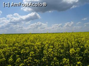 [P02] Câmpuri de rapiță - pe DJ 702A. » foto by tata123 🔱
 - 
<span class="allrVoted glyphicon glyphicon-heart hidden" id="av1295219"></span>
<a class="m-l-10 hidden" id="sv1295219" onclick="voting_Foto_DelVot(,1295219,27450)" role="button">șterge vot <span class="glyphicon glyphicon-remove"></span></a>
<a id="v91295219" class=" c-red"  onclick="voting_Foto_SetVot(1295219)" role="button"><span class="glyphicon glyphicon-heart-empty"></span> <b>LIKE</b> = Votează poza</a> <img class="hidden"  id="f1295219W9" src="/imagini/loader.gif" border="0" /><span class="AjErrMes hidden" id="e1295219ErM"></span>