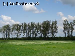 [P06] Poiana cu Narcise - Negrași. » foto by tata123 🔱
 - 
<span class="allrVoted glyphicon glyphicon-heart hidden" id="av1295223"></span>
<a class="m-l-10 hidden" id="sv1295223" onclick="voting_Foto_DelVot(,1295223,27450)" role="button">șterge vot <span class="glyphicon glyphicon-remove"></span></a>
<a id="v91295223" class=" c-red"  onclick="voting_Foto_SetVot(1295223)" role="button"><span class="glyphicon glyphicon-heart-empty"></span> <b>LIKE</b> = Votează poza</a> <img class="hidden"  id="f1295223W9" src="/imagini/loader.gif" border="0" /><span class="AjErrMes hidden" id="e1295223ErM"></span>