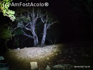 [P16] Pe poteca asta o sa vina pelerinii la vale in toi de noapte » foto by ultrasro
 - 
<span class="allrVoted glyphicon glyphicon-heart hidden" id="av1297499"></span>
<a class="m-l-10 hidden" id="sv1297499" onclick="voting_Foto_DelVot(,1297499,27471)" role="button">șterge vot <span class="glyphicon glyphicon-remove"></span></a>
<a id="v91297499" class=" c-red"  onclick="voting_Foto_SetVot(1297499)" role="button"><span class="glyphicon glyphicon-heart-empty"></span> <b>LIKE</b> = Votează poza</a> <img class="hidden"  id="f1297499W9" src="/imagini/loader.gif" border="0" /><span class="AjErrMes hidden" id="e1297499ErM"></span>