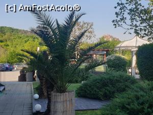 [P27] Park Hotel Raya Garden - aleea de pe lângă pavilioane » foto by k-lator
 - 
<span class="allrVoted glyphicon glyphicon-heart hidden" id="av1299170"></span>
<a class="m-l-10 hidden" id="sv1299170" onclick="voting_Foto_DelVot(,1299170,27483)" role="button">șterge vot <span class="glyphicon glyphicon-remove"></span></a>
<a id="v91299170" class=" c-red"  onclick="voting_Foto_SetVot(1299170)" role="button"><span class="glyphicon glyphicon-heart-empty"></span> <b>LIKE</b> = Votează poza</a> <img class="hidden"  id="f1299170W9" src="/imagini/loader.gif" border="0" /><span class="AjErrMes hidden" id="e1299170ErM"></span>