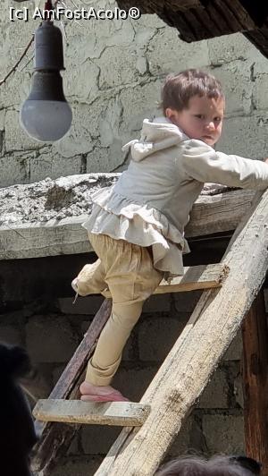 [P10] locuitor al satului » foto by robert
 - 
<span class="allrVoted glyphicon glyphicon-heart hidden" id="av1319793"></span>
<a class="m-l-10 hidden" id="sv1319793" onclick="voting_Foto_DelVot(,1319793,27498)" role="button">șterge vot <span class="glyphicon glyphicon-remove"></span></a>
<a id="v91319793" class=" c-red"  onclick="voting_Foto_SetVot(1319793)" role="button"><span class="glyphicon glyphicon-heart-empty"></span> <b>LIKE</b> = Votează poza</a> <img class="hidden"  id="f1319793W9" src="/imagini/loader.gif" border="0" /><span class="AjErrMes hidden" id="e1319793ErM"></span>