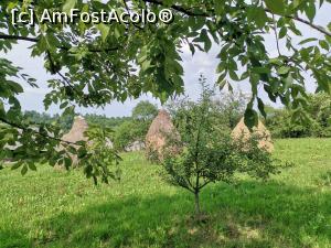 [P13] Ocupația preponderenta » foto by donna77
 - 
<span class="allrVoted glyphicon glyphicon-heart hidden" id="av1313145"></span>
<a class="m-l-10 hidden" id="sv1313145" onclick="voting_Foto_DelVot(,1313145,27610)" role="button">șterge vot <span class="glyphicon glyphicon-remove"></span></a>
<a id="v91313145" class=" c-red"  onclick="voting_Foto_SetVot(1313145)" role="button"><span class="glyphicon glyphicon-heart-empty"></span> <b>LIKE</b> = Votează poza</a> <img class="hidden"  id="f1313145W9" src="/imagini/loader.gif" border="0" /><span class="AjErrMes hidden" id="e1313145ErM"></span>