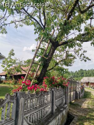 [P14] La cules de cireșe » foto by donna77
 - 
<span class="allrVoted glyphicon glyphicon-heart hidden" id="av1313179"></span>
<a class="m-l-10 hidden" id="sv1313179" onclick="voting_Foto_DelVot(,1313179,27610)" role="button">șterge vot <span class="glyphicon glyphicon-remove"></span></a>
<a id="v91313179" class=" c-red"  onclick="voting_Foto_SetVot(1313179)" role="button"><span class="glyphicon glyphicon-heart-empty"></span> <b>LIKE</b> = Votează poza</a> <img class="hidden"  id="f1313179W9" src="/imagini/loader.gif" border="0" /><span class="AjErrMes hidden" id="e1313179ErM"></span>