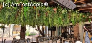 [P14] Jungla din tavanul restaurantului » foto by Nobodyforever
 - 
<span class="allrVoted glyphicon glyphicon-heart hidden" id="av1316771"></span>
<a class="m-l-10 hidden" id="sv1316771" onclick="voting_Foto_DelVot(,1316771,27633)" role="button">șterge vot <span class="glyphicon glyphicon-remove"></span></a>
<a id="v91316771" class=" c-red"  onclick="voting_Foto_SetVot(1316771)" role="button"><span class="glyphicon glyphicon-heart-empty"></span> <b>LIKE</b> = Votează poza</a> <img class="hidden"  id="f1316771W9" src="/imagini/loader.gif" border="0" /><span class="AjErrMes hidden" id="e1316771ErM"></span>