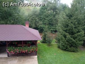 [P10]  -- <small>// FĂRĂ DESCRIERE</small> » foto by sorynneagu
 - 
<span class="allrVoted glyphicon glyphicon-heart hidden" id="av1322853"></span>
<a class="m-l-10 hidden" id="sv1322853" onclick="voting_Foto_DelVot(,1322853,27689)" role="button">șterge vot <span class="glyphicon glyphicon-remove"></span></a>
<a id="v91322853" class=" c-red"  onclick="voting_Foto_SetVot(1322853)" role="button"><span class="glyphicon glyphicon-heart-empty"></span> <b>LIKE</b> = Votează poza</a> <img class="hidden"  id="f1322853W9" src="/imagini/loader.gif" border="0" /><span class="AjErrMes hidden" id="e1322853ErM"></span>