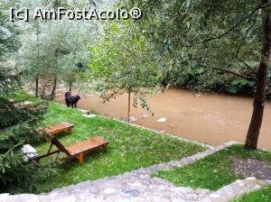 [P13]  -- <small>// FĂRĂ DESCRIERE</small> » foto by sorynneagu
 - 
<span class="allrVoted glyphicon glyphicon-heart hidden" id="av1322856"></span>
<a class="m-l-10 hidden" id="sv1322856" onclick="voting_Foto_DelVot(,1322856,27689)" role="button">șterge vot <span class="glyphicon glyphicon-remove"></span></a>
<a id="v91322856" class=" c-red"  onclick="voting_Foto_SetVot(1322856)" role="button"><span class="glyphicon glyphicon-heart-empty"></span> <b>LIKE</b> = Votează poza</a> <img class="hidden"  id="f1322856W9" src="/imagini/loader.gif" border="0" /><span class="AjErrMes hidden" id="e1322856ErM"></span>