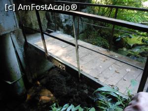 [P26] Peștera Vadu Crișului - În peșteră, podeț peste râu. » foto by iulianic
 - 
<span class="allrVoted glyphicon glyphicon-heart hidden" id="av1323517"></span>
<a class="m-l-10 hidden" id="sv1323517" onclick="voting_Foto_DelVot(,1323517,27696)" role="button">șterge vot <span class="glyphicon glyphicon-remove"></span></a>
<a id="v91323517" class=" c-red"  onclick="voting_Foto_SetVot(1323517)" role="button"><span class="glyphicon glyphicon-heart-empty"></span> <b>LIKE</b> = Votează poza</a> <img class="hidden"  id="f1323517W9" src="/imagini/loader.gif" border="0" /><span class="AjErrMes hidden" id="e1323517ErM"></span>