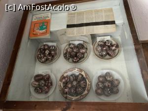 [P54] Muzeul de icoane pe sticlă,ouă &icirc;ncondeiate din diferite reginuni ale țării » foto by AZE
 - 
<span class="allrVoted glyphicon glyphicon-heart hidden" id="av1405210"></span>
<a class="m-l-10 hidden" id="sv1405210" onclick="voting_Foto_DelVot(,1405210,27800)" role="button">șterge vot <span class="glyphicon glyphicon-remove"></span></a>
<a id="v91405210" class=" c-red"  onclick="voting_Foto_SetVot(1405210)" role="button"><span class="glyphicon glyphicon-heart-empty"></span> <b>LIKE</b> = Votează poza</a> <img class="hidden"  id="f1405210W9" src="/imagini/loader.gif" border="0" /><span class="AjErrMes hidden" id="e1405210ErM"></span>