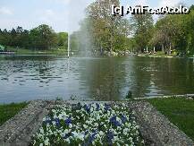 [P06]  -- <small>// FĂRĂ DESCRIERE</small> » foto by Cristian_h
 - 
<span class="allrVoted glyphicon glyphicon-heart hidden" id="av7947"></span>
<a class="m-l-10 hidden" id="sv7947" onclick="voting_Foto_DelVot(,7947,27821)" role="button">șterge vot <span class="glyphicon glyphicon-remove"></span></a>
<a id="v97947" class=" c-red"  onclick="voting_Foto_SetVot(7947)" role="button"><span class="glyphicon glyphicon-heart-empty"></span> <b>LIKE</b> = Votează poza</a> <img class="hidden"  id="f7947W9" src="/imagini/loader.gif" border="0" /><span class="AjErrMes hidden" id="e7947ErM"></span>