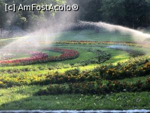 [P04] apa si culori in Parcul Romanescu » foto by Dan&Ema
 - 
<span class="allrVoted glyphicon glyphicon-heart hidden" id="av1012474"></span>
<a class="m-l-10 hidden" id="sv1012474" onclick="voting_Foto_DelVot(,1012474,27821)" role="button">șterge vot <span class="glyphicon glyphicon-remove"></span></a>
<a id="v91012474" class=" c-red"  onclick="voting_Foto_SetVot(1012474)" role="button"><span class="glyphicon glyphicon-heart-empty"></span> <b>LIKE</b> = Votează poza</a> <img class="hidden"  id="f1012474W9" src="/imagini/loader.gif" border="0" /><span class="AjErrMes hidden" id="e1012474ErM"></span>
