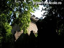 [P14] Craiova - Parcul Romanescu - nici o domnita nu a aparut... » foto by Diaura*
 - 
<span class="allrVoted glyphicon glyphicon-heart hidden" id="av82853"></span>
<a class="m-l-10 hidden" id="sv82853" onclick="voting_Foto_DelVot(,82853,27821)" role="button">șterge vot <span class="glyphicon glyphicon-remove"></span></a>
<a id="v982853" class=" c-red"  onclick="voting_Foto_SetVot(82853)" role="button"><span class="glyphicon glyphicon-heart-empty"></span> <b>LIKE</b> = Votează poza</a> <img class="hidden"  id="f82853W9" src="/imagini/loader.gif" border="0" /><span class="AjErrMes hidden" id="e82853ErM"></span>