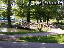 [P19] Craiova - Parcul Romanescu - un pod micut din lemn » foto by Diaura*
 - 
<span class="allrVoted glyphicon glyphicon-heart hidden" id="av82858"></span>
<a class="m-l-10 hidden" id="sv82858" onclick="voting_Foto_DelVot(,82858,27821)" role="button">șterge vot <span class="glyphicon glyphicon-remove"></span></a>
<a id="v982858" class=" c-red"  onclick="voting_Foto_SetVot(82858)" role="button"><span class="glyphicon glyphicon-heart-empty"></span> <b>LIKE</b> = Votează poza</a> <img class="hidden"  id="f82858W9" src="/imagini/loader.gif" border="0" /><span class="AjErrMes hidden" id="e82858ErM"></span>