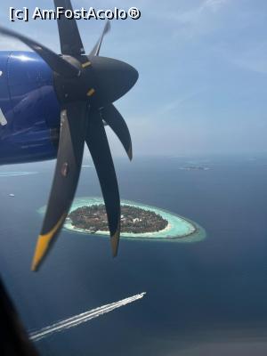 [P02]  -- <small>// FĂRĂ DESCRIERE</small> » foto by HelloAlex
 - 
<span class="allrVoted glyphicon glyphicon-heart hidden" id="av1343385"></span>
<a class="m-l-10 hidden" id="sv1343385" onclick="voting_Foto_DelVot(,1343385,27833)" role="button">șterge vot <span class="glyphicon glyphicon-remove"></span></a>
<a id="v91343385" class=" c-red"  onclick="voting_Foto_SetVot(1343385)" role="button"><span class="glyphicon glyphicon-heart-empty"></span> <b>LIKE</b> = Votează poza</a> <img class="hidden"  id="f1343385W9" src="/imagini/loader.gif" border="0" /><span class="AjErrMes hidden" id="e1343385ErM"></span>