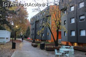 [P05] Bologna, Combo Hostel, Clădirea ce adăpoștește camerele de oaspeți » foto by mprofeanu
 - 
<span class="allrVoted glyphicon glyphicon-heart hidden" id="av1346251"></span>
<a class="m-l-10 hidden" id="sv1346251" onclick="voting_Foto_DelVot(,1346251,27858)" role="button">șterge vot <span class="glyphicon glyphicon-remove"></span></a>
<a id="v91346251" class=" c-red"  onclick="voting_Foto_SetVot(1346251)" role="button"><span class="glyphicon glyphicon-heart-empty"></span> <b>LIKE</b> = Votează poza</a> <img class="hidden"  id="f1346251W9" src="/imagini/loader.gif" border="0" /><span class="AjErrMes hidden" id="e1346251ErM"></span>