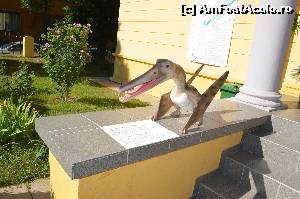 [P01] Micul Pteosaurus ce pazeste intrarea in Muzeu » foto by cristianam
 - 
<span class="allrVoted glyphicon glyphicon-heart hidden" id="av529355"></span>
<a class="m-l-10 hidden" id="sv529355" onclick="voting_Foto_DelVot(,529355,27913)" role="button">șterge vot <span class="glyphicon glyphicon-remove"></span></a>
<a id="v9529355" class=" c-red"  onclick="voting_Foto_SetVot(529355)" role="button"><span class="glyphicon glyphicon-heart-empty"></span> <b>LIKE</b> = Votează poza</a> <img class="hidden"  id="f529355W9" src="/imagini/loader.gif" border="0" /><span class="AjErrMes hidden" id="e529355ErM"></span>