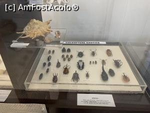 [P13] Expoziția temporarp-fauna și flora tropicală » foto by AZE
 - 
<span class="allrVoted glyphicon glyphicon-heart hidden" id="av1351146"></span>
<a class="m-l-10 hidden" id="sv1351146" onclick="voting_Foto_DelVot(,1351146,27913)" role="button">șterge vot <span class="glyphicon glyphicon-remove"></span></a>
<a id="v91351146" class=" c-red"  onclick="voting_Foto_SetVot(1351146)" role="button"><span class="glyphicon glyphicon-heart-empty"></span> <b>LIKE</b> = Votează poza</a> <img class="hidden"  id="f1351146W9" src="/imagini/loader.gif" border="0" /><span class="AjErrMes hidden" id="e1351146ErM"></span>