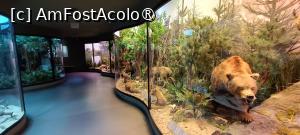 [P15] Zona dioramelor. » foto by tata123 🔱
 - 
<span class="allrVoted glyphicon glyphicon-heart hidden" id="av1517808"></span>
<a class="m-l-10 hidden" id="sv1517808" onclick="voting_Foto_DelVot(,1517808,27913)" role="button">șterge vot <span class="glyphicon glyphicon-remove"></span></a>
<a id="v91517808" class=" c-red"  onclick="voting_Foto_SetVot(1517808)" role="button"><span class="glyphicon glyphicon-heart-empty"></span> <b>LIKE</b> = Votează poza</a> <img class="hidden"  id="f1517808W9" src="/imagini/loader.gif" border="0" /><span class="AjErrMes hidden" id="e1517808ErM"></span>