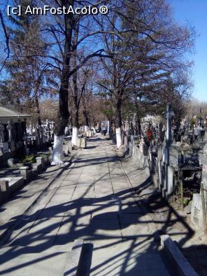 [P56] Bisericii Marcuta, aleea principala din cimitir, pornind din curtea noua.  » foto by danaeldreny*
 - 
<span class="allrVoted glyphicon glyphicon-heart hidden" id="av842646"></span>
<a class="m-l-10 hidden" id="sv842646" onclick="voting_Foto_DelVot(,842646,27955)" role="button">șterge vot <span class="glyphicon glyphicon-remove"></span></a>
<a id="v9842646" class=" c-red"  onclick="voting_Foto_SetVot(842646)" role="button"><span class="glyphicon glyphicon-heart-empty"></span> <b>LIKE</b> = Votează poza</a> <img class="hidden"  id="f842646W9" src="/imagini/loader.gif" border="0" /><span class="AjErrMes hidden" id="e842646ErM"></span>