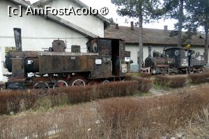 [P07] Cele două mocăniţe din stânga aleii de acces: 6845 şi 389.001 (detalii în următoarea imagine) » foto by Claudiu U.
 - 
<span class="allrVoted glyphicon glyphicon-heart hidden" id="av1549916"></span>
<a class="m-l-10 hidden" id="sv1549916" onclick="voting_Foto_DelVot(,1549916,27984)" role="button">șterge vot <span class="glyphicon glyphicon-remove"></span></a>
<a id="v91549916" class=" c-red"  onclick="voting_Foto_SetVot(1549916)" role="button"><span class="glyphicon glyphicon-heart-empty"></span> <b>LIKE</b> = Votează poza</a> <img class="hidden"  id="f1549916W9" src="/imagini/loader.gif" border="0" /><span class="AjErrMes hidden" id="e1549916ErM"></span>