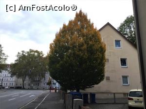 [P04] Landshut - toamna incepe sa isi lase amprenta peste acest copac » foto by mishu
 - 
<span class="allrVoted glyphicon glyphicon-heart hidden" id="av1365197"></span>
<a class="m-l-10 hidden" id="sv1365197" onclick="voting_Foto_DelVot(,1365197,28035)" role="button">șterge vot <span class="glyphicon glyphicon-remove"></span></a>
<a id="v91365197" class=" c-red"  onclick="voting_Foto_SetVot(1365197)" role="button"><span class="glyphicon glyphicon-heart-empty"></span> <b>LIKE</b> = Votează poza</a> <img class="hidden"  id="f1365197W9" src="/imagini/loader.gif" border="0" /><span class="AjErrMes hidden" id="e1365197ErM"></span>