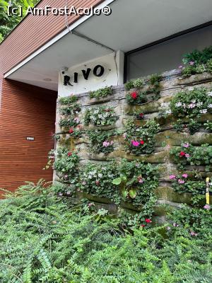 [P20] Restaurant Rivo » foto by nightwish
 - 
<span class="allrVoted glyphicon glyphicon-heart hidden" id="av1371704"></span>
<a class="m-l-10 hidden" id="sv1371704" onclick="voting_Foto_DelVot(,1371704,28092)" role="button">șterge vot <span class="glyphicon glyphicon-remove"></span></a>
<a id="v91371704" class=" c-red"  onclick="voting_Foto_SetVot(1371704)" role="button"><span class="glyphicon glyphicon-heart-empty"></span> <b>LIKE</b> = Votează poza</a> <img class="hidden"  id="f1371704W9" src="/imagini/loader.gif" border="0" /><span class="AjErrMes hidden" id="e1371704ErM"></span>