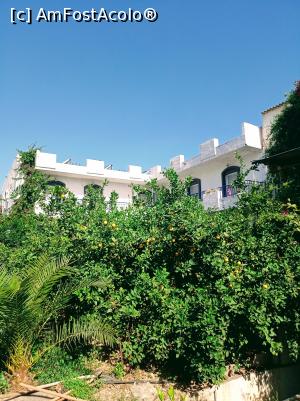 [P15] Vegetație bogată,  în mijlocul căreia se află hotelul. » foto by Rodel
 - 
<span class="allrVoted glyphicon glyphicon-heart hidden" id="av1376116"></span>
<a class="m-l-10 hidden" id="sv1376116" onclick="voting_Foto_DelVot(,1376116,28135)" role="button">șterge vot <span class="glyphicon glyphicon-remove"></span></a>
<a id="v91376116" class=" c-red"  onclick="voting_Foto_SetVot(1376116)" role="button"><span class="glyphicon glyphicon-heart-empty"></span> <b>LIKE</b> = Votează poza</a> <img class="hidden"  id="f1376116W9" src="/imagini/loader.gif" border="0" /><span class="AjErrMes hidden" id="e1376116ErM"></span>