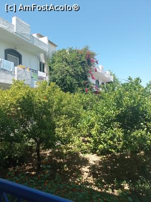 [P03] Hotel Gorgona, înconjurat de vegetație. » foto by Rodel
 - 
<span class="allrVoted glyphicon glyphicon-heart hidden" id="av1376104"></span>
<a class="m-l-10 hidden" id="sv1376104" onclick="voting_Foto_DelVot(,1376104,28135)" role="button">șterge vot <span class="glyphicon glyphicon-remove"></span></a>
<a id="v91376104" class=" c-red"  onclick="voting_Foto_SetVot(1376104)" role="button"><span class="glyphicon glyphicon-heart-empty"></span> <b>LIKE</b> = Votează poza</a> <img class="hidden"  id="f1376104W9" src="/imagini/loader.gif" border="0" /><span class="AjErrMes hidden" id="e1376104ErM"></span>