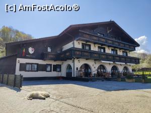 [P59] La revedere, Villa Siana (și Bobiță)! » foto by crismis
 - 
<span class="allrVoted glyphicon glyphicon-heart hidden" id="av1383364"></span>
<a class="m-l-10 hidden" id="sv1383364" onclick="voting_Foto_DelVot(,1383364,28199)" role="button">șterge vot <span class="glyphicon glyphicon-remove"></span></a>
<a id="v91383364" class=" c-red"  onclick="voting_Foto_SetVot(1383364)" role="button"><span class="glyphicon glyphicon-heart-empty"></span> <b>LIKE</b> = Votează poza</a> <img class="hidden"  id="f1383364W9" src="/imagini/loader.gif" border="0" /><span class="AjErrMes hidden" id="e1383364ErM"></span>