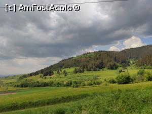 [P04] Pe drum; verde de mai » foto by crismis
 - 
<span class="allrVoted glyphicon glyphicon-heart hidden" id="av1386775"></span>
<a class="m-l-10 hidden" id="sv1386775" onclick="voting_Foto_DelVot(,1386775,28226)" role="button">șterge vot <span class="glyphicon glyphicon-remove"></span></a>
<a id="v91386775" class=" c-red"  onclick="voting_Foto_SetVot(1386775)" role="button"><span class="glyphicon glyphicon-heart-empty"></span> <b>LIKE</b> = Votează poza</a> <img class="hidden"  id="f1386775W9" src="/imagini/loader.gif" border="0" /><span class="AjErrMes hidden" id="e1386775ErM"></span>