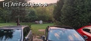 [P17]  -- <small>// FĂRĂ DESCRIERE</small> » foto by cristimicle
 - 
<span class="allrVoted glyphicon glyphicon-heart hidden" id="av1387507"></span>
<a class="m-l-10 hidden" id="sv1387507" onclick="voting_Foto_DelVot(,1387507,28230)" role="button">șterge vot <span class="glyphicon glyphicon-remove"></span></a>
<a id="v91387507" class=" c-red"  onclick="voting_Foto_SetVot(1387507)" role="button"><span class="glyphicon glyphicon-heart-empty"></span> <b>LIKE</b> = Votează poza</a> <img class="hidden"  id="f1387507W9" src="/imagini/loader.gif" border="0" /><span class="AjErrMes hidden" id="e1387507ErM"></span>