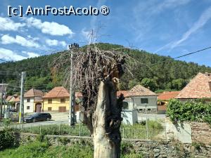 [P03] Rășinari și munții Cindrel » foto by Carmen Ion
 - 
<span class="allrVoted glyphicon glyphicon-heart hidden" id="av1510962"></span>
<a class="m-l-10 hidden" id="sv1510962" onclick="voting_Foto_DelVot(,1510962,28257)" role="button">șterge vot <span class="glyphicon glyphicon-remove"></span></a>
<a id="v91510962" class=" c-red"  onclick="voting_Foto_SetVot(1510962)" role="button"><span class="glyphicon glyphicon-heart-empty"></span> <b>LIKE</b> = Votează poza</a> <img class="hidden"  id="f1510962W9" src="/imagini/loader.gif" border="0" /><span class="AjErrMes hidden" id="e1510962ErM"></span>