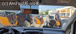 [P39] În timp ce amfitrionul ne transfera în port, la ieşire din Fira dăm prioritate măgarilor să traverseze către locul de unde cară turiştii pe cele 600 trepte către portul vechi » foto by irinad
 - 
<span class="allrVoted glyphicon glyphicon-heart hidden" id="av1390910"></span>
<a class="m-l-10 hidden" id="sv1390910" onclick="voting_Foto_DelVot(,1390910,28266)" role="button">șterge vot <span class="glyphicon glyphicon-remove"></span></a>
<a id="v91390910" class=" c-red"  onclick="voting_Foto_SetVot(1390910)" role="button"><span class="glyphicon glyphicon-heart-empty"></span> <b>LIKE</b> = Votează poza</a> <img class="hidden"  id="f1390910W9" src="/imagini/loader.gif" border="0" /><span class="AjErrMes hidden" id="e1390910ErM"></span>