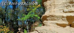 [P17] În apropierea locului unde haiducul Coroi se ascundea.... » foto by tata123 🔱
 - 
<span class="allrVoted glyphicon glyphicon-heart hidden" id="av1410042"></span>
<a class="m-l-10 hidden" id="sv1410042" onclick="voting_Foto_DelVot(,1410042,28365)" role="button">șterge vot <span class="glyphicon glyphicon-remove"></span></a>
<a id="v91410042" class=" c-red"  onclick="voting_Foto_SetVot(1410042)" role="button"><span class="glyphicon glyphicon-heart-empty"></span> <b>LIKE</b> = Votează poza</a> <img class="hidden"  id="f1410042W9" src="/imagini/loader.gif" border="0" /><span class="AjErrMes hidden" id="e1410042ErM"></span>