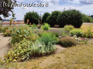 [P16] Grădina cu plante aromatice » foto by crismis
 - 
<span class="allrVoted glyphicon glyphicon-heart hidden" id="av1408167"></span>
<a class="m-l-10 hidden" id="sv1408167" onclick="voting_Foto_DelVot(,1408167,28400)" role="button">șterge vot <span class="glyphicon glyphicon-remove"></span></a>
<a id="v91408167" class=" c-red"  onclick="voting_Foto_SetVot(1408167)" role="button"><span class="glyphicon glyphicon-heart-empty"></span> <b>LIKE</b> = Votează poza</a> <img class="hidden"  id="f1408167W9" src="/imagini/loader.gif" border="0" /><span class="AjErrMes hidden" id="e1408167ErM"></span>