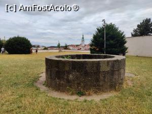 [P47] F&acirc;nt&acirc;na din grădina de plante » foto by crismis
 - 
<span class="allrVoted glyphicon glyphicon-heart hidden" id="av1408198"></span>
<a class="m-l-10 hidden" id="sv1408198" onclick="voting_Foto_DelVot(,1408198,28400)" role="button">șterge vot <span class="glyphicon glyphicon-remove"></span></a>
<a id="v91408198" class=" c-red"  onclick="voting_Foto_SetVot(1408198)" role="button"><span class="glyphicon glyphicon-heart-empty"></span> <b>LIKE</b> = Votează poza</a> <img class="hidden"  id="f1408198W9" src="/imagini/loader.gif" border="0" /><span class="AjErrMes hidden" id="e1408198ErM"></span>