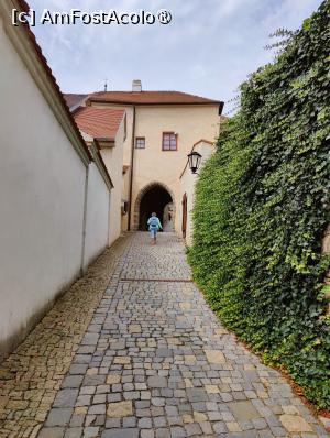 [P06] Pe aleea pietruită spre Basilica Sf. Procopius » foto by crismis
 - 
<span class="allrVoted glyphicon glyphicon-heart hidden" id="av1408157"></span>
<a class="m-l-10 hidden" id="sv1408157" onclick="voting_Foto_DelVot(,1408157,28400)" role="button">șterge vot <span class="glyphicon glyphicon-remove"></span></a>
<a id="v91408157" class=" c-red"  onclick="voting_Foto_SetVot(1408157)" role="button"><span class="glyphicon glyphicon-heart-empty"></span> <b>LIKE</b> = Votează poza</a> <img class="hidden"  id="f1408157W9" src="/imagini/loader.gif" border="0" /><span class="AjErrMes hidden" id="e1408157ErM"></span>