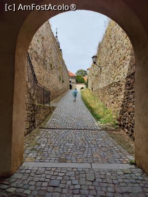 [P07] Pe aleea pietruită spre Basilica Sf. Procopius » foto by crismis
 - 
<span class="allrVoted glyphicon glyphicon-heart hidden" id="av1408158"></span>
<a class="m-l-10 hidden" id="sv1408158" onclick="voting_Foto_DelVot(,1408158,28400)" role="button">șterge vot <span class="glyphicon glyphicon-remove"></span></a>
<a id="v91408158" class=" c-red"  onclick="voting_Foto_SetVot(1408158)" role="button"><span class="glyphicon glyphicon-heart-empty"></span> <b>LIKE</b> = Votează poza</a> <img class="hidden"  id="f1408158W9" src="/imagini/loader.gif" border="0" /><span class="AjErrMes hidden" id="e1408158ErM"></span>