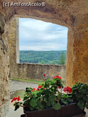 [P35] Din nou &icirc;n curtea interioară » foto by crismis
 - 
<span class="allrVoted glyphicon glyphicon-heart hidden" id="av1409159"></span>
<a class="m-l-10 hidden" id="sv1409159" onclick="voting_Foto_DelVot(,1409159,28400)" role="button">șterge vot <span class="glyphicon glyphicon-remove"></span></a>
<a id="v91409159" class=" c-red"  onclick="voting_Foto_SetVot(1409159)" role="button"><span class="glyphicon glyphicon-heart-empty"></span> <b>LIKE</b> = Votează poza</a> <img class="hidden"  id="f1409159W9" src="/imagini/loader.gif" border="0" /><span class="AjErrMes hidden" id="e1409159ErM"></span>