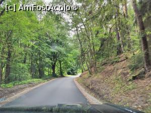 [P42] Zone &icirc;mpădurite &icirc;n jurul castelului Landstejn » foto by crismis
 - 
<span class="allrVoted glyphicon glyphicon-heart hidden" id="av1409166"></span>
<a class="m-l-10 hidden" id="sv1409166" onclick="voting_Foto_DelVot(,1409166,28400)" role="button">șterge vot <span class="glyphicon glyphicon-remove"></span></a>
<a id="v91409166" class=" c-red"  onclick="voting_Foto_SetVot(1409166)" role="button"><span class="glyphicon glyphicon-heart-empty"></span> <b>LIKE</b> = Votează poza</a> <img class="hidden"  id="f1409166W9" src="/imagini/loader.gif" border="0" /><span class="AjErrMes hidden" id="e1409166ErM"></span>