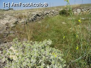 [P06] Porțiuni de ziduri - Cetatea Ulmetum.  » foto by tata123 🔱
 - 
<span class="allrVoted glyphicon glyphicon-heart hidden" id="av1020434"></span>
<a class="m-l-10 hidden" id="sv1020434" onclick="voting_Foto_DelVot(,1020434,28408)" role="button">șterge vot <span class="glyphicon glyphicon-remove"></span></a>
<a id="v91020434" class=" c-red"  onclick="voting_Foto_SetVot(1020434)" role="button"><span class="glyphicon glyphicon-heart-empty"></span> <b>LIKE</b> = Votează poza</a> <img class="hidden"  id="f1020434W9" src="/imagini/loader.gif" border="0" /><span class="AjErrMes hidden" id="e1020434ErM"></span>