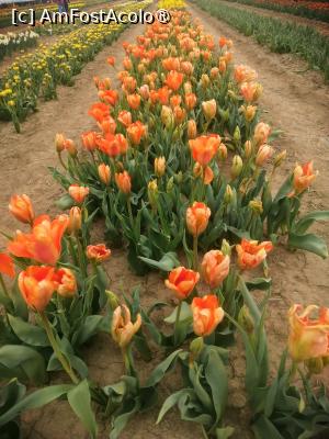 [P10]  -- <small>// FĂRĂ DESCRIERE</small> » foto by Cristian_h
 - 
<span class="allrVoted glyphicon glyphicon-heart hidden" id="av1518641"></span>
<a class="m-l-10 hidden" id="sv1518641" onclick="voting_Foto_DelVot(,1518641,28416)" role="button">șterge vot <span class="glyphicon glyphicon-remove"></span></a>
<a id="v91518641" class=" c-red"  onclick="voting_Foto_SetVot(1518641)" role="button"><span class="glyphicon glyphicon-heart-empty"></span> <b>LIKE</b> = Votează poza</a> <img class="hidden"  id="f1518641W9" src="/imagini/loader.gif" border="0" /><span class="AjErrMes hidden" id="e1518641ErM"></span>