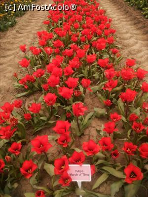 [P07]  -- <small>// FĂRĂ DESCRIERE</small> » foto by Cristian_h
 - 
<span class="allrVoted glyphicon glyphicon-heart hidden" id="av1518638"></span>
<a class="m-l-10 hidden" id="sv1518638" onclick="voting_Foto_DelVot(,1518638,28416)" role="button">șterge vot <span class="glyphicon glyphicon-remove"></span></a>
<a id="v91518638" class=" c-red"  onclick="voting_Foto_SetVot(1518638)" role="button"><span class="glyphicon glyphicon-heart-empty"></span> <b>LIKE</b> = Votează poza</a> <img class="hidden"  id="f1518638W9" src="/imagini/loader.gif" border="0" /><span class="AjErrMes hidden" id="e1518638ErM"></span>