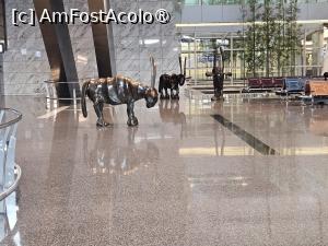 [P03] Oryx- animalul simbol al Qatarului, ne intampina pe aeroport » foto by DOINITA
 - 
<span class="allrVoted glyphicon glyphicon-heart hidden" id="av1410776"></span>
<a class="m-l-10 hidden" id="sv1410776" onclick="voting_Foto_DelVot(,1410776,28434)" role="button">șterge vot <span class="glyphicon glyphicon-remove"></span></a>
<a id="v91410776" class=" c-red"  onclick="voting_Foto_SetVot(1410776)" role="button"><span class="glyphicon glyphicon-heart-empty"></span> <b>LIKE</b> = Votează poza</a> <img class="hidden"  id="f1410776W9" src="/imagini/loader.gif" border="0" /><span class="AjErrMes hidden" id="e1410776ErM"></span>
