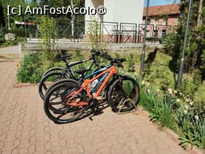 [P08] Bicicletele » foto by Marius 72
 - 
<span class="allrVoted glyphicon glyphicon-heart hidden" id="av1423642"></span>
<a class="m-l-10 hidden" id="sv1423642" onclick="voting_Foto_DelVot(,1423642,28524)" role="button">șterge vot <span class="glyphicon glyphicon-remove"></span></a>
<a id="v91423642" class=" c-red"  onclick="voting_Foto_SetVot(1423642)" role="button"><span class="glyphicon glyphicon-heart-empty"></span> <b>LIKE</b> = Votează poza</a> <img class="hidden"  id="f1423642W9" src="/imagini/loader.gif" border="0" /><span class="AjErrMes hidden" id="e1423642ErM"></span>