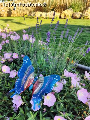 [P14] Pensiunea Briza Mării » foto by crismis
 - 
<span class="allrVoted glyphicon glyphicon-heart hidden" id="av1500829"></span>
<a class="m-l-10 hidden" id="sv1500829" onclick="voting_Foto_DelVot(,1500829,28602)" role="button">șterge vot <span class="glyphicon glyphicon-remove"></span></a>
<a id="v91500829" class=" c-red"  onclick="voting_Foto_SetVot(1500829)" role="button"><span class="glyphicon glyphicon-heart-empty"></span> <b>LIKE</b> = Votează poza</a> <img class="hidden"  id="f1500829W9" src="/imagini/loader.gif" border="0" /><span class="AjErrMes hidden" id="e1500829ErM"></span>