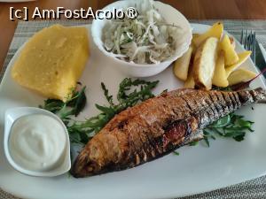 [P25] Pensiunea Briza Mării; prima cină » foto by crismis
 - 
<span class="allrVoted glyphicon glyphicon-heart hidden" id="av1500840"></span>
<a class="m-l-10 hidden" id="sv1500840" onclick="voting_Foto_DelVot(,1500840,28602)" role="button">șterge vot <span class="glyphicon glyphicon-remove"></span></a>
<a id="v91500840" class=" c-red"  onclick="voting_Foto_SetVot(1500840)" role="button"><span class="glyphicon glyphicon-heart-empty"></span> <b>LIKE</b> = Votează poza</a> <img class="hidden"  id="f1500840W9" src="/imagini/loader.gif" border="0" /><span class="AjErrMes hidden" id="e1500840ErM"></span>