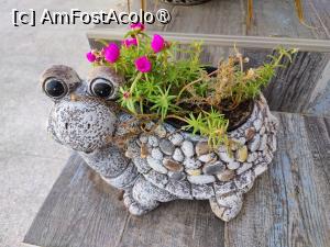 [P29] Pensiunea Briza Mării; decor » foto by crismis
 - 
<span class="allrVoted glyphicon glyphicon-heart hidden" id="av1500844"></span>
<a class="m-l-10 hidden" id="sv1500844" onclick="voting_Foto_DelVot(,1500844,28602)" role="button">șterge vot <span class="glyphicon glyphicon-remove"></span></a>
<a id="v91500844" class=" c-red"  onclick="voting_Foto_SetVot(1500844)" role="button"><span class="glyphicon glyphicon-heart-empty"></span> <b>LIKE</b> = Votează poza</a> <img class="hidden"  id="f1500844W9" src="/imagini/loader.gif" border="0" /><span class="AjErrMes hidden" id="e1500844ErM"></span>